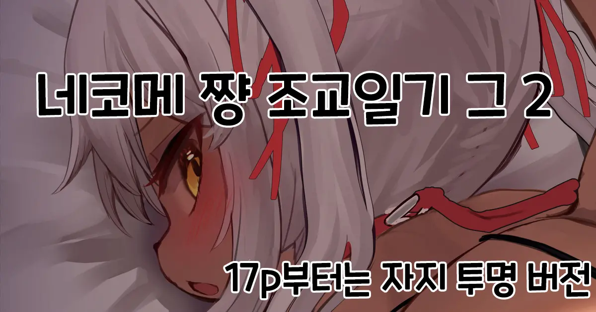 Nekome-Chan Choukyou Nikki Sono 2